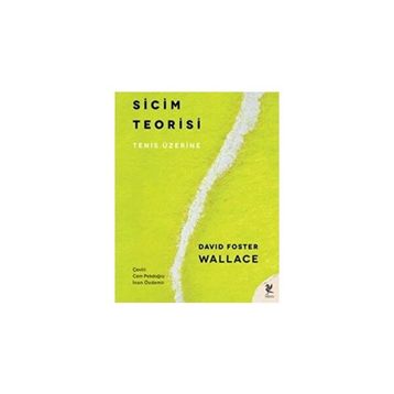 Sicim Teorisi - David Foster Wallace