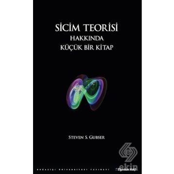 Sicim Teorisi Hakkında Küçük Bir Kitap - Steven S. Gubser