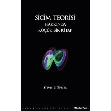 Sicim Teorisi Hakkında Küçük Bir Kitap - Steven S. Gubser