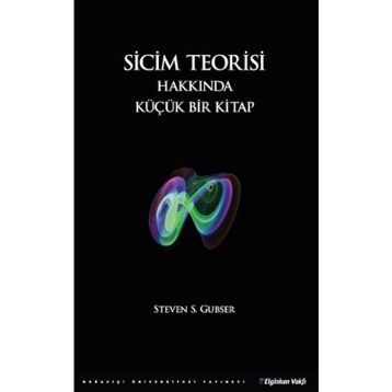 Sicim Teorisi Hakkında Küçük Bir Kitap - Steven S. Gubser