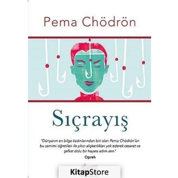 SIÇRAYIŞ - PEMA CHÖDRÖN