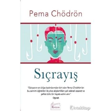 SIÇRAYIŞ - PEMA CHÖDRÖN