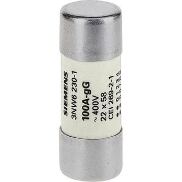 Siemens 3NW6222-1 63A 22x58 mm Silindirik Sigortalar Kartuş Sigortalar
