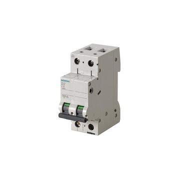 Siemens 5SL4202-7 10kA 2A 2 Fazlı C Tipi Yavaş Karakterli Otomat Anahtarlı Otomatik Sigorta