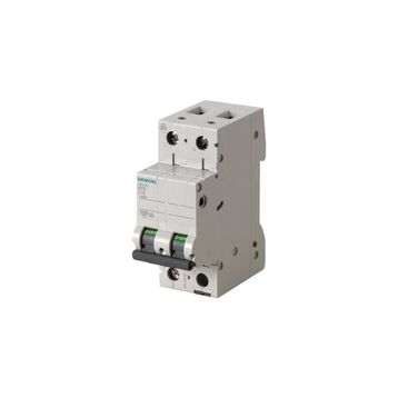Siemens 5SL4206-7 6 Amper 2 Kutup 6 KA C Eğrisi Otomatik Sigorta
