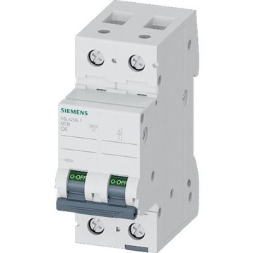Siemens 5SL4206-7 6 Amper 2 Kutup 6 KA C Eğrisi Otomatik Sigorta