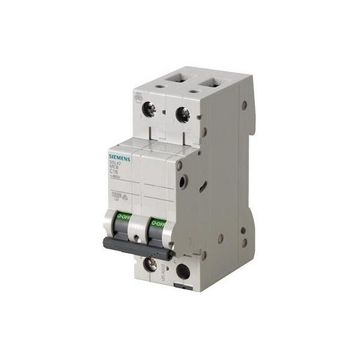 Siemens 5SL4220-7 10kA 20A 2 Fazlı C Tipi Yavaş Karakterli Otomat Anahtarlı Otomatik Sigorta