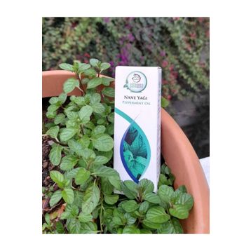 Şifa Ana 20 ml Nane Yağı