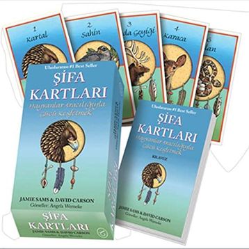 ŞIFA KARTLARI - DAVID CARSON;JAMIE SAMS