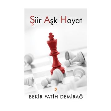Şiir Aşk Hayat - Bekir Fatih Demirağ
