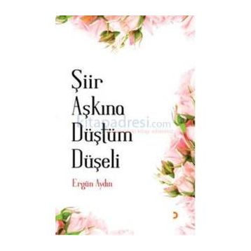 Şiir Aşkına Düştüm Düşeli - Ergün Aydın