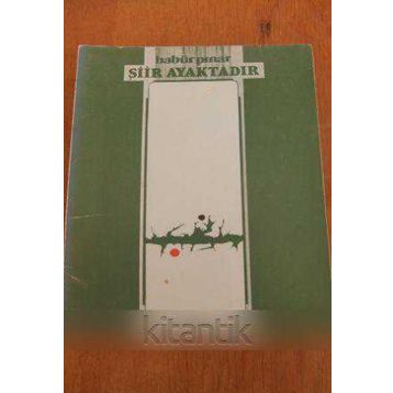 Şiir Ayaktadır - Babür Pınar
