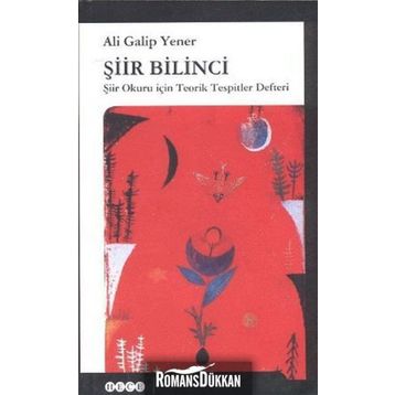Şiir Bilinci - ali galip fer