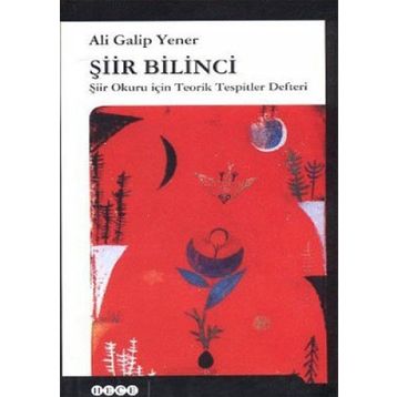 Şiir Bilinci - ali galip fer