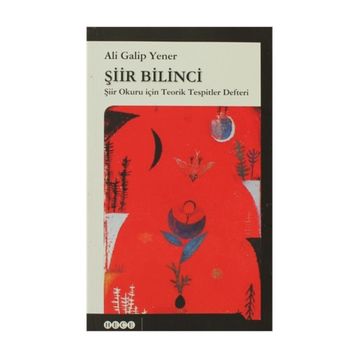 Şiir Bilinci - ali galip fer
