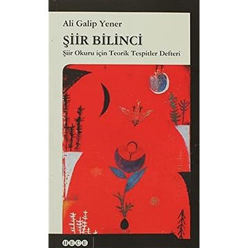 Şiir Bilinci - ali galip fer