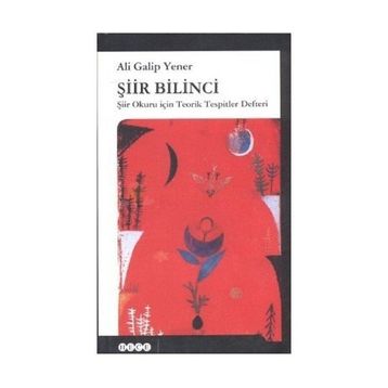 Şiir Bilinci - ali galip fer