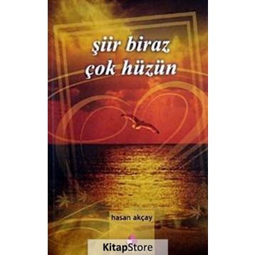 ŞİİR BIRAZ ÇOK HÜZÜN - HASAN AKÇAY