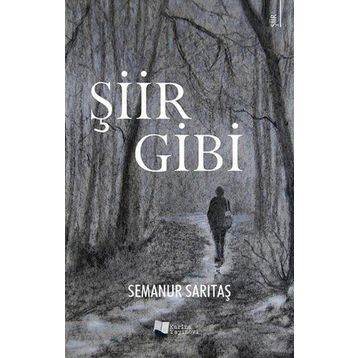 Şiir Gibi - Semanur Sarıtaş