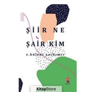Şiir Ne Şair Kim - E. Bülent Yardım