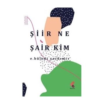 Şiir Ne Şair Kim - E. Bülent Yardım