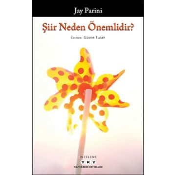 Şiir Neden Önemlidir? - Jay Parini