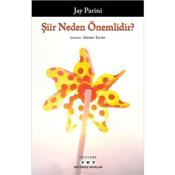 Şiir Neden Önemlidir? - Jay Parini