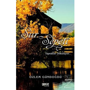 Şiir Sepeti - Özlem Gündoğdu