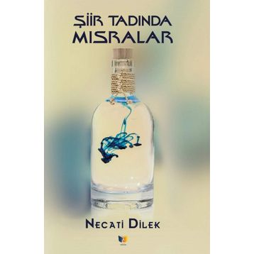 Şiir Tadında Mısralar - Necati Dilek
