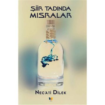 Şiir Tadında Mısralar - Necati Dilek