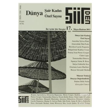 Şiirden Dergisi Sayı: 17 - Kolektif