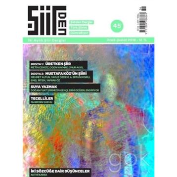 Şiirden Dergisi Sayı: 45 - Kolektif