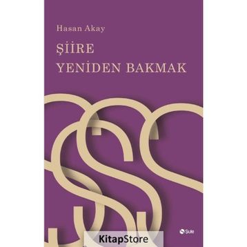Şiire Yeniden Bakmak - Hasan Akay