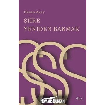 Şiire Yeniden Bakmak - Hasan Akay