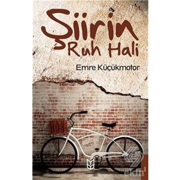 Şiirin Ruh Hali - Emre Küçükmotor