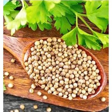 Silifke Market 250 gr Kişniş Aşotu Tohumu
