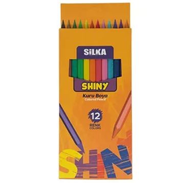 Silka 5790140 Shiny 12 Renk Kuru Boya