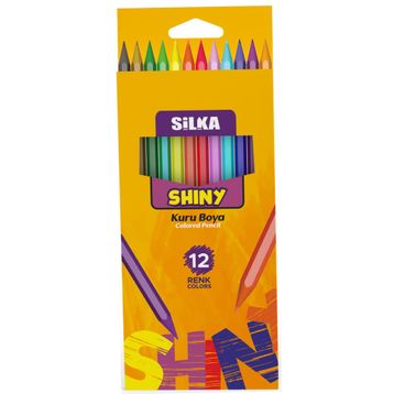 Silka Art.86 12 Li Hex Shıny Kuru Boya