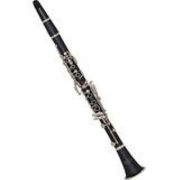 Silver SCL-02G Klarnet