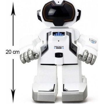 Silverlit 88308 Echo-Bot I-R Oyuncak