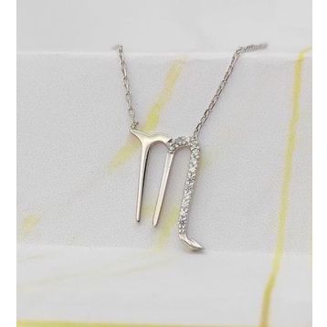 Şimal Silver 925 Ayar Gümüş Akrep Burcu Kolye
