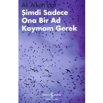 Şimdi Sadece Ona Bir Ad Koymam Gerek - Ali Alkan İnal
