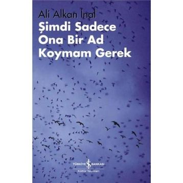 Şimdi Sadece Ona Bir Ad Koymam Gerek - Ali Alkan İnal