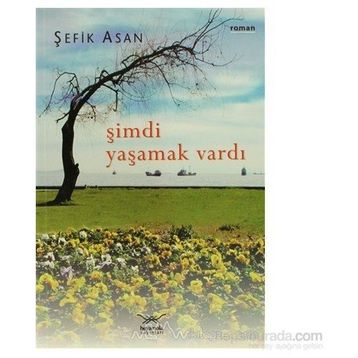 ŞIMDI YAŞAMAK VARDI - GENEL