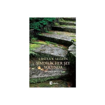 Şimdilik Her Şey Yolunda 2014-2018 Son Şiirler