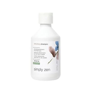 Simply Zen Detoxifying 250 ml Şampuan