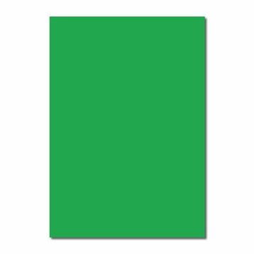 Sınar 230 Fosforlu Yeşil 50x70 120 gr Fon Kartonu