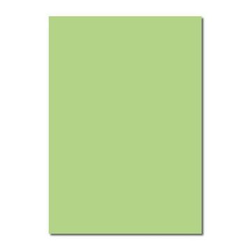 Sınar 41A Yeşil 50x70 120 gr Fon Kartonu