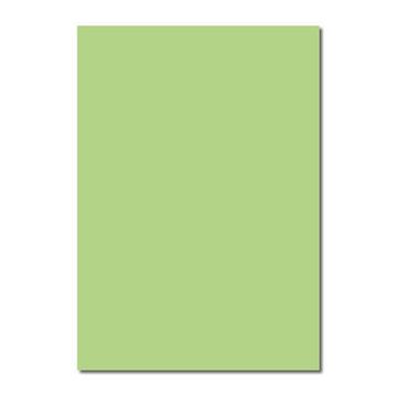 Sınar 41A Yeşil 50x70 120 gr Fon Kartonu