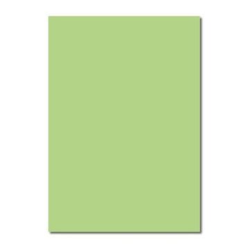 Sınar 41A Yeşil 50x70 120 gr Fon Kartonu